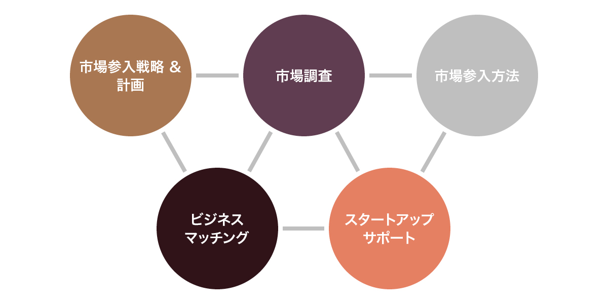 市場参入プログラム